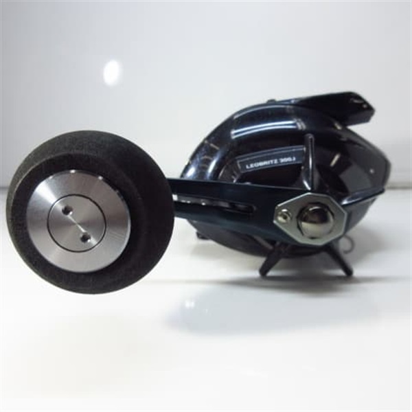 ２３レオブリッツ３００Ｊ